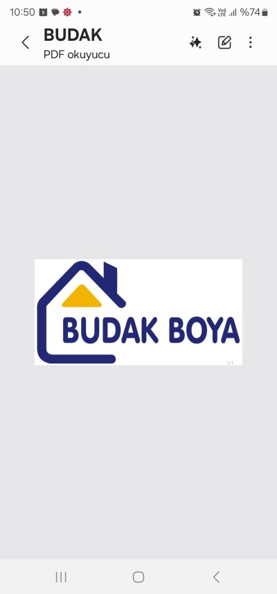Budak Boya taah. İnş san ve tic ltd