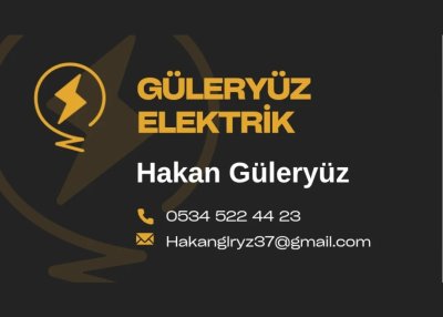 GÜLERYÜZ ELEKTRİK