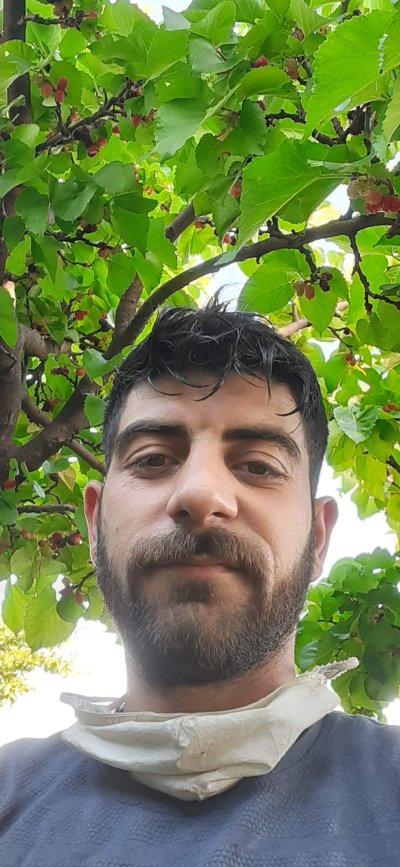 Mahmut Köse