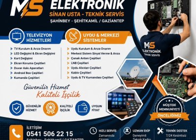 MS ELEKTRONİK